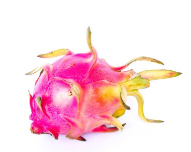 Stüdyo bir ejderha meyvesi vurdu. Egzotik tropikal pitaya kaktüsü türleri beyazlar üzerinde izole edildi.