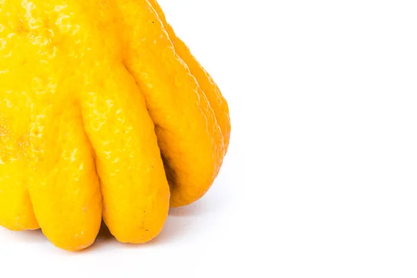 Studio plan rapproché jaune vif doigt Citron Bouddha main agrumes isolé sur blanc — Photo