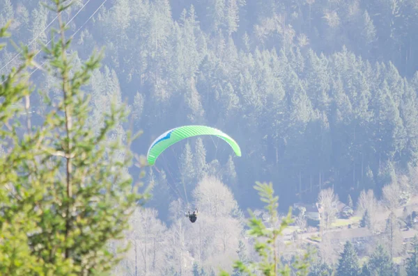 Shallow DOF paragliding και αειθαλές τοπίο στο Tiger Mountain στην Ουάσιγκτον, ΗΠΑ — Φωτογραφία Αρχείου