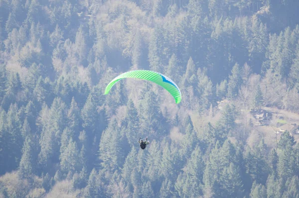 Northwest mountain evergreen och Paragliding vid Tiger Mountain i Washington, USA — Stockfoto