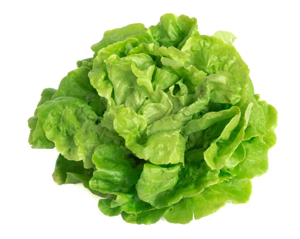 Зйомки яскраво-зеленого фільму Том Тумб салат ізольований на білому — стокове фото