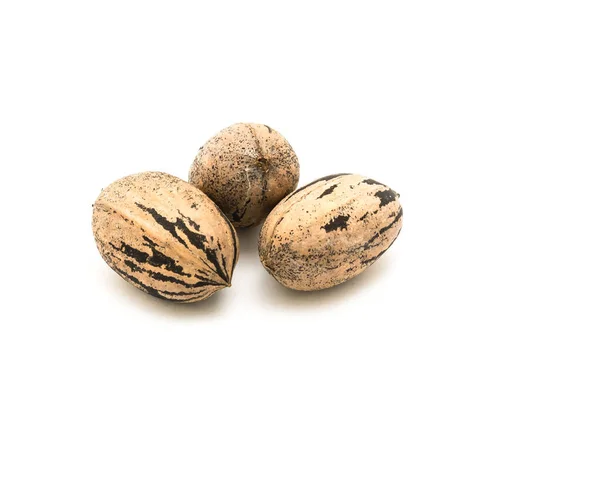 Studio shot three raw organic pecan nuts in-shell isolated on white — Stock Photo, Image