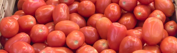 Vista panoramica mazzo di pomodori maturi biologici in gabbia rustica allo stand del mercato a Washington, Stati Uniti — Foto Stock