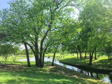 Dallas, Teksas yakınlarında büyük bir gölet ve çeşmesi olan mahalle parkı, ABD güneşli bulutlu gökyüzü