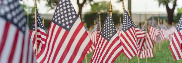 Panoramic row of lawn American flags display on green grass on Memorial Day in Dallas, Texas, USA — Stock Photo, Image