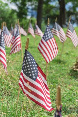 Dallas, Teksas, Amerika 'da, Anma Günü' nde olgun ağaçların altındaki yeşil çimlerde Amerikan bayrakları sergileniyor. Ulusal bayram kutlamalarında askeri onur için yoğun Amerikan bayrakları.