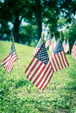 Dallas, Teksas 'taki Anma Günü' nde Amerikan bayrakları olgun ağaçların altında yeşil çimlerde sergileniyor.