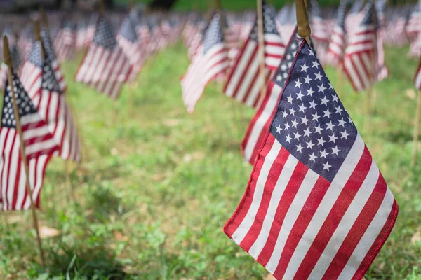 Πολλές Αμερικανικές Σημαίες Γκαζόν Εμφανίζονται Στο Πράσινο Γρασίδι Την Ημέρα — Φωτογραφία Αρχείου