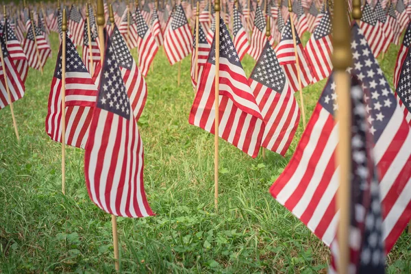 Ρηχό DOF επιλεκτική εστίαση πολλές αμερικανικές σημαίες γκαζόν οθόνη στο πράσινο γρασίδι για την Ημέρα Μνήμης — Φωτογραφία Αρχείου