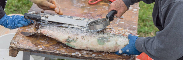 Panoramic view Asian man using scaler tool for fish skin brush scraping at Vietnamese seafood float market in USA