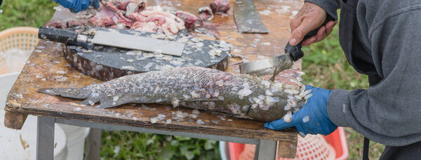 Panoramic view Asian man using scaler tool for fish skin brush scraping at Vietnamese seafood float market in USA