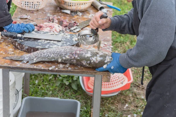 Asian man using scaler tool for fish skin brush scraping at Vietnamese seafood float market in USA — Stock Photo, Image