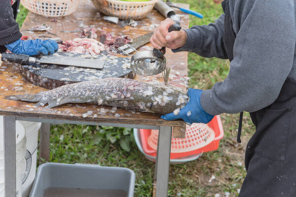 Asian man using scaler tool for fish skin brush scraping at Vietnamese seafood float market in USA