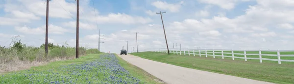 Panorama Vista Bluebonnet Flor Longo Estrada País Com Cerca Piquete — Fotografia de Stock