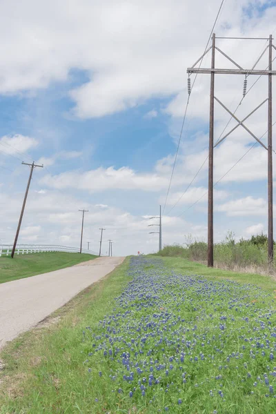 Close Bluebonnet Blossom Steep Country Road White Picket Fence Row — Stock Photo, Image
