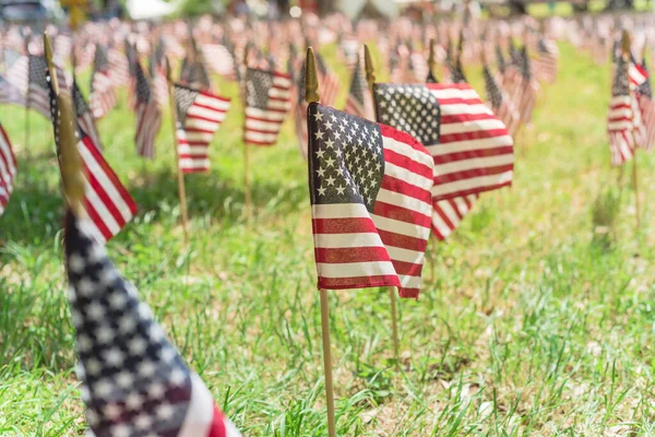 Σειρά γκαζόν αμερικανική σημαίες απεικόνιση στο πράσινο γρασίδι την Ημέρα Μνήμης στο Ντάλας, Τέξας, ΗΠΑ — Φωτογραφία Αρχείου