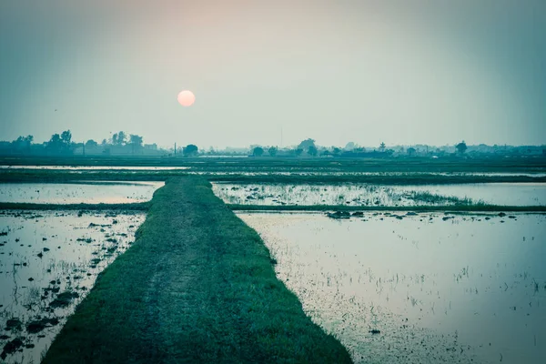 Imagem filtrada estrada agrícola lamacenta leva à linha horizontal com o pôr do sol no campo de arroz inundado no Vietnã do Norte — Fotografia de Stock