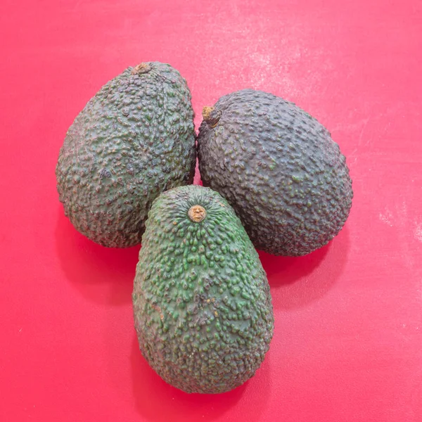 Tres aguacates Hass con piel turbia de color verde oscuro sobre fondo rojo claro — Foto de Stock