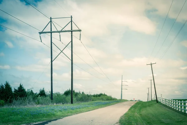 Virágzó Bluebonnet országút mentén fehér léckerítéssel és elektromos oszlopsorral Ennis, Texas, USA — Stock Fotó