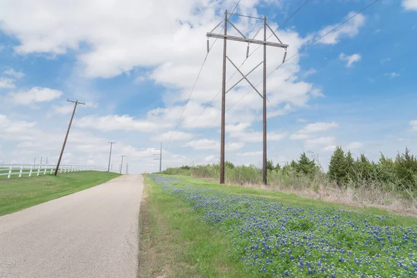 Bluebonnet florescendo ao longo da estrada do país com cerca de piquete branco e fileira de postes de energia em Ennis, Texas, EUA — Fotografia de Stock