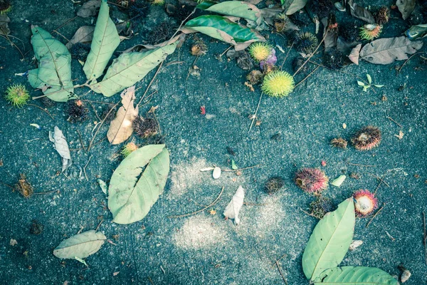 Zralé rambutan ovoce a listí na betonové podlaze u silnice v blízkosti tropické zahrady v Singapuru — Stock fotografie