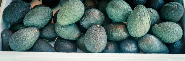 Vue panoramique du bouquet d'avocats Hass dans une boîte en polystyrène sur le marché local de Little India, Singapour — Photo