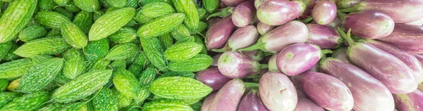 Panorama Vue Pile Mélange Melon Amer Aubergines Affiche Stand Légumes — Photo