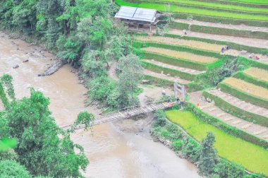 Ahşap evi olan dere kenarı bölgesi, bambu kablosu köprü olarak kaldı ve Kuzey Vietnam 'da teras pirinç tarlası hasat eden etnik insanlar.