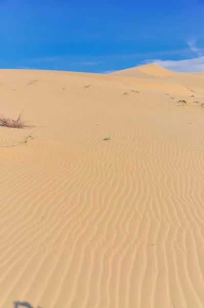 Wide angle view desert and sand dunes ripples leads to horizontal with blue cloud sky in Nam Cuong, Phan Rang, Viet Nam — Stock Photo, Image