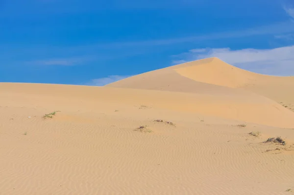 Many ripples wave lead to peak of sand dunes under sunny blue cloud sky in Nam Cuong, Phan Rang, Viet Nam. — Stock Photo, Image