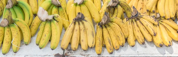 Abundancia panorámica de racimos de plátanos en el puesto de frutas en Geylang, Singapur — Foto de Stock