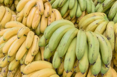 Geylang, Singapur 'daki meyve standında organik yeşil ve doğal olgunlaşan muz demetleri.