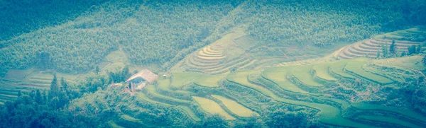 Panoramic aerial lush green terrace rice field with wooden slum house in Sapa, Northern Vietnam — Stock Photo, Image