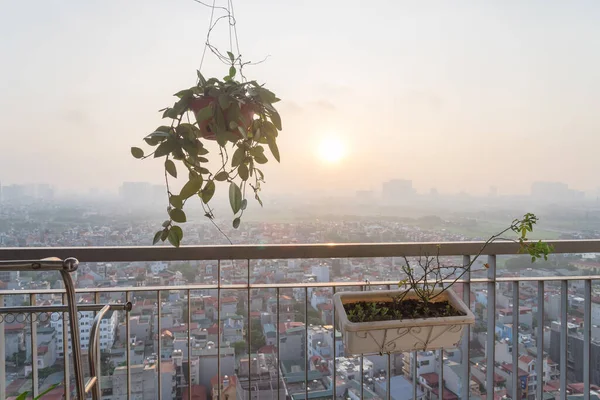 High-rise apartment balcony garden with hanging basket, window box and aerial view cityscape in Hanoi, Vietnam