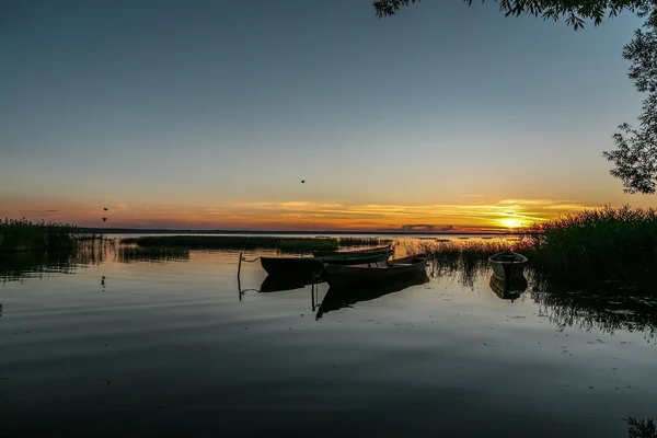 Três corvos voam para o leste — Fotografia de Stock