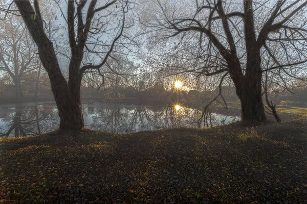 Fog on rural a pond — Stock Photo, Image