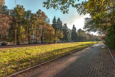 Parkın sonbahar boyaları