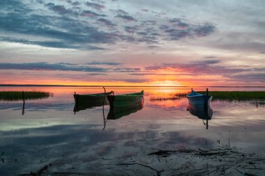 deli bahar düşüş