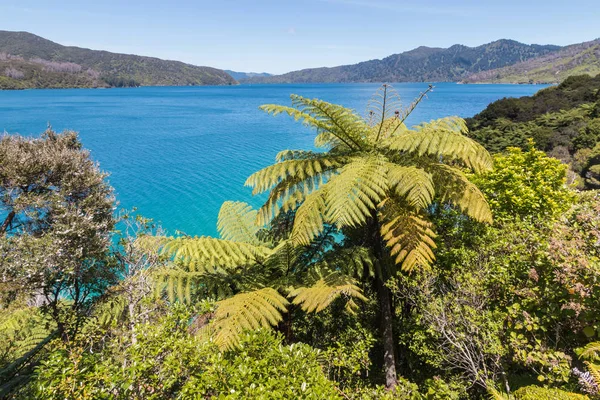 Queen Charlotte Sound en Marlborough Sound, Isla Sur, Nueva Zelanda — Foto de Stock