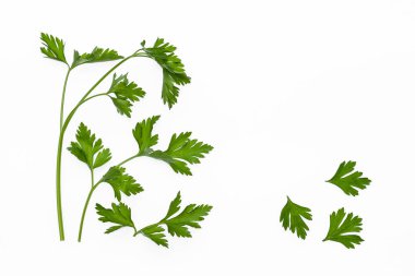 taze maydanoz üzerinde izole beyaz arka plan takip ediyor.