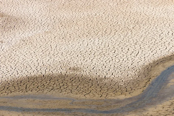 Cama de rio em seca — Fotografia de Stock