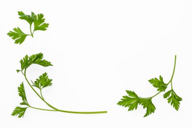 Beyaz arka plan üzerinde Bahçe maydanoz yaprakları