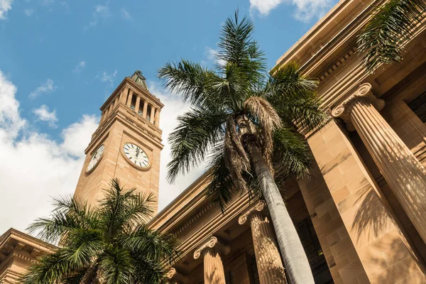 Brisbane City Hall with clock tower and palm trees — Stock Photo, Image