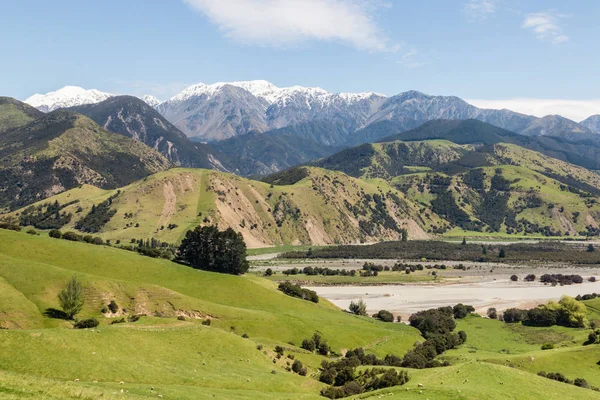 Travnatých kopcích nad údolím řeky Clarence v jarní, Nový Zéland — Stock fotografie