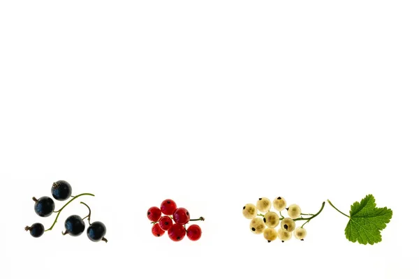 Ribes Bianco Rosso Nero Isolato Con Spazio Copia Sfondo Bianco — Foto Stock
