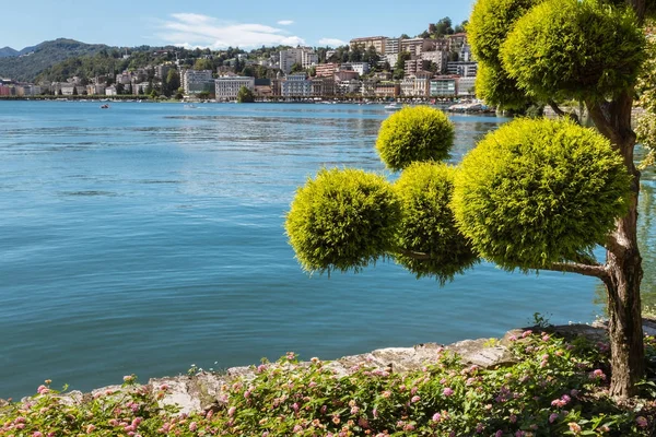 Okrasná Zahrada Parco Civico Lugano Švýcarsko — Stock fotografie