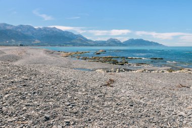 Yeni Zelanda'da Kaikoura sahil şeridi üzerinde çakıl plajı