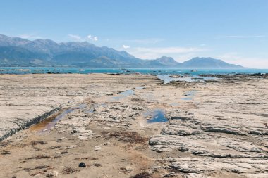 Kaikoura kıyı şeridi düşük gelgit, South Island, Yeni Zelanda