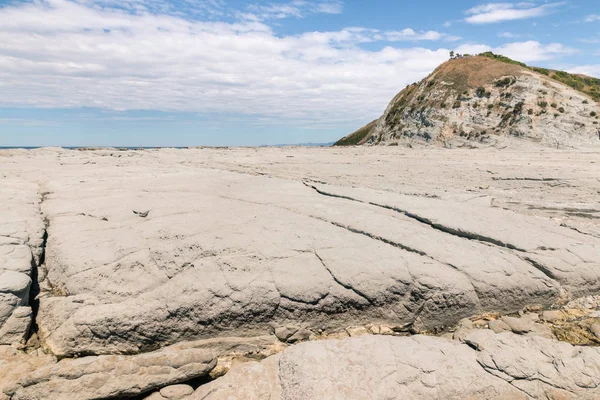 sandstone ocean floor at low tide on Kaikoura coastline, South Island, New Zealand