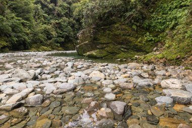 Wakamarina Nehri, South Island, Yeni Zelanda